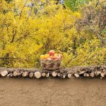 اقامتگاه بومگردی پستو در بیضا
