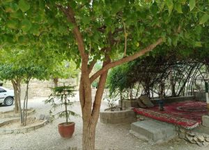 معرفی کباب سرای شهر شب در نورآباد ممسنی در سامانه مشاغل ممتاز