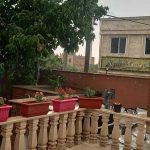 کافه رستوران گندم در دماوند