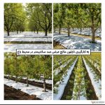 تولید پلاستیک صنعت کاوه در شیراز