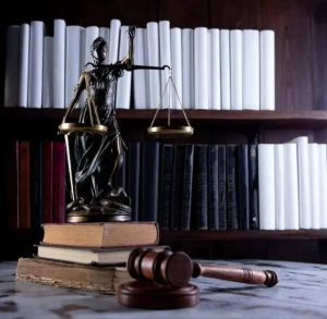 وکیل ملکی محمدرضا دهقانی بوشهر-مشاغل ممتاز