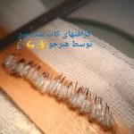مرکز آموزش کات یونیک در تهران