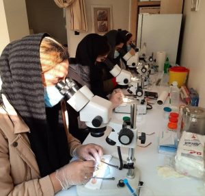 آموزش تخصصی کات کاشت مو در مرکز آموزش کات یونیک تهران-مشاغل ممتاز