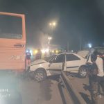 جرثقیل نیل برگی در علی‌آباد کتول