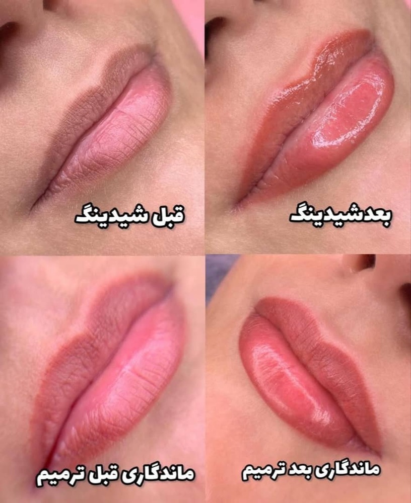 یادگیری شیدینگ لب و رژلب دائم در گرگان با آموزش تخصصی زهرا اکرم‌زاده-مشاغل ممتاز
