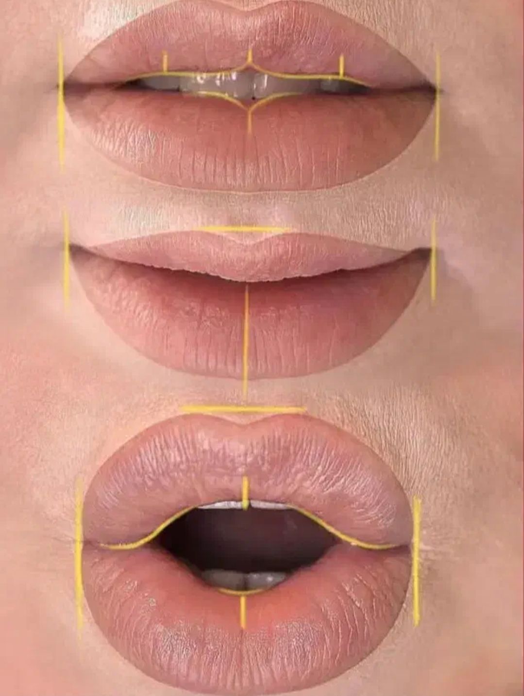 نتیجه نهایی شیدینگ لب روسی و اصلاح تیرگی لب توسط فرزانه داننده در پرند.مشاغل ممتاز