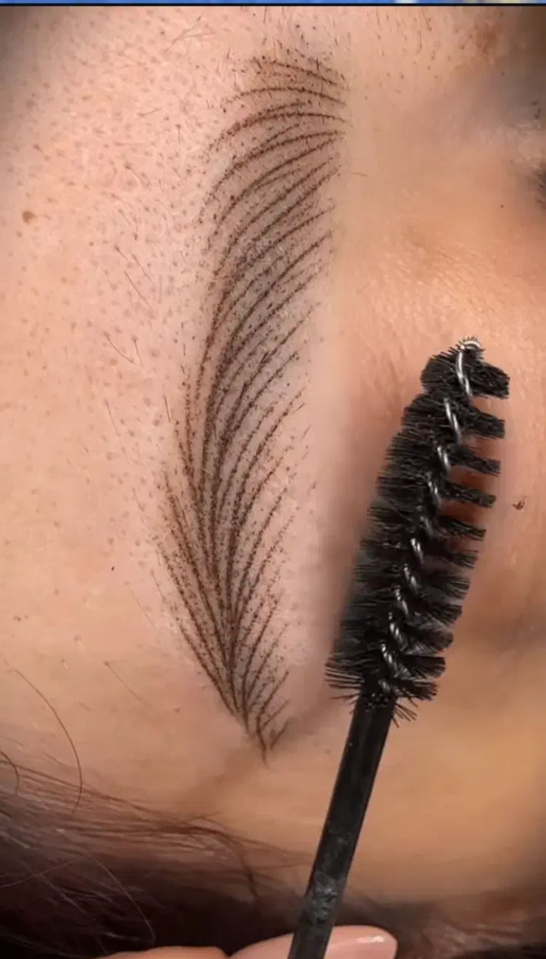 اجرای تخصصی هیر استروک (Hirstroke) در مرکز آموزش آرایش دائم فرزانه داننده پرند-مشاغل ممتاز