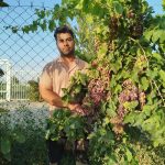 نهالستان نهالوند در میاندوآب