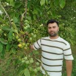 نهالستان نهالوند در میاندوآب