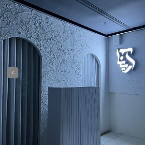 سالن زیبایی آرینا عبدالصمدی سنندج-مشاغل ممتاز