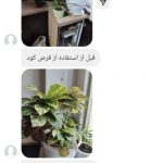 فروش کود امیر احراری در رشت