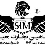 جایگزین پوشک بزرگسال شورت دوجی در مشهد