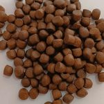 تولید خوراک ماهی کپور و قزل‌آلا راد دانه در کرج