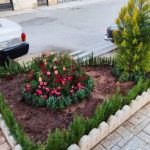خدمات باغبانی محمدی در تهران