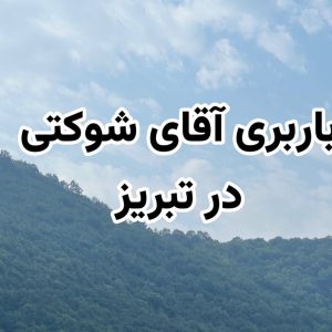 باربری شوکتی در تبریز-مشاغل ممتاز