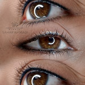آموزش و خدمات آرایش دائم سحر احمدی تهرانسر-مشاغل ممتاز