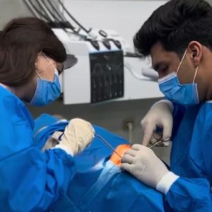 ایمپلنت دندان در مطب دندانپزشکی دکتر حسین سالاری کرمان-مشاغل ممتاز