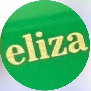 انجام فشیال تخصصی و پاکسازی عمیق پوست در آکادمی زیبایی الیزا نجف آباد_مشاغل ممتاز